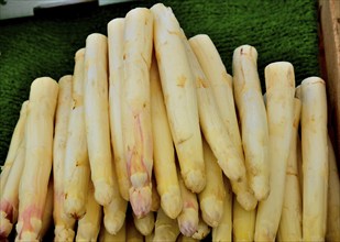 Fresh asparagus at a market stall in Hameln, Lower Saxony, Germany, Europe