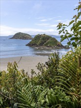 Natural Heritage Site Islotes de Punihuil, Punihuil, Chiloe, Chile, South America