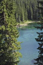 The lake Lago di Carezza, Karersee and pine forest in the Dolomites, Italy, Europe