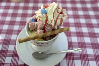 Ice cream sundae with cream and waffle, Bavaria, Germany, Europe