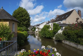 Kleines Dorf mit Häusern am Fluss, blauer Himmel, Blumen auf einer Brücke, friedliche Atmosphäre,