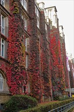 Europe, Germany, Hamburg, Rotherbaum, architecture, facade post office building, former