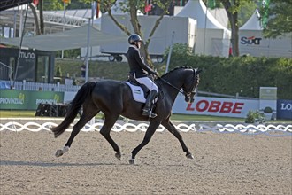 Heidemarie Dresing on HORSE24, para dressage rider, Balve, 2024