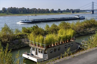 Houseboat with roof garden at the Rhine harbour on Robert-Lehr-Ufer, in Düsseldorf, in the