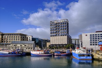 Zeitz MOCAA Museum, Dockyard and Harbour District, Victoria & Alfred Waterfront, Cape Town, Cape