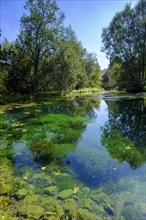 Aachtopf, blue spring pot, Aach spring, Urspring near Schelklingen, Swabian Alb, Baden-Württemberg,