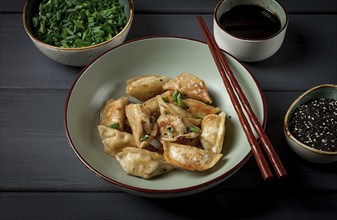 Japanese fried gyoza dumplings, with pork, sesame seeds, green onions