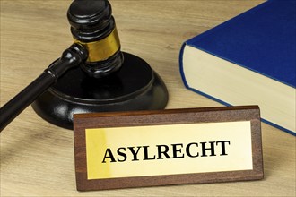 Symbol image of asylum law Germany : Close-up of a brass sign with the inscription ASYLRECHT