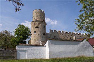 Laa Castle, castle in Laa an der Thaya, Weinviertel, Lower Austria, Austria, Europe