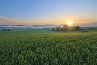 A picturesque sunrise over a wide green field and a gentle hilly landscape, Mönchberg, Mltenberg,