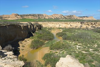 Narrow river meanders through the dry desert with cliffs and sparse vegetation in clear, sunny