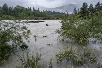 Flood, continuous rain, river, rain, flooding, Upper Bavaria, force of nature, climate, climate