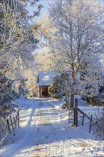 Forest road with a gate to a barn in a cold snowy winter landscape, Sweden, Europe