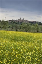 San Gimignano, Tuscany, Italy, Europe