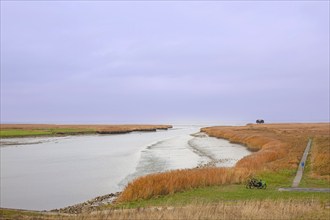 Low tide, mudflats, Dollard, observation point Kiekkaaste, Nieuwe Statenzijl, Netherlands