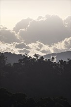 Clouds over cloud forest, mountain rainforest, Parque Nacional Los Quetzales, Costa Rica, Central