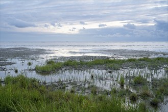 Low tide at the North Sea, evening light, Lower Saxony Wadden Sea National Park, Norddeich, East