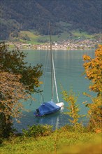 A blue sailing boat on a calm lake, surrounded by autumnal trees and mountainous landscape, Lake