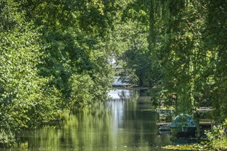 Hasengraben, branch canal between Heiliger See and Havel, Potsdam, Brandenburg, Germany, Europe