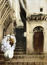 Street of Camels, Algiers, Algeria, ca 1890, Historical, digitally restored reproduction from a