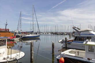 Quiet harbour area with sailing and motor-driven boats under clear skies, Rügen, Hiddensee