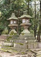 Stone lanterns, Kasuga-taisha shrine, Nara, Japan, Asia