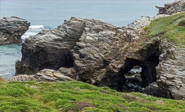 Rugged rock formations with natural arches and dense vegetation along the coast, Praia das