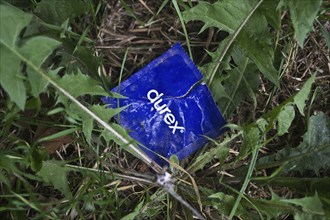 Open condom sachet dumped in nature, France, Europe