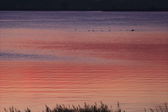 Evening sky at the Baltic Sea near Peenemünde, September, Mecklenburg-Western Pomerania, Germany,