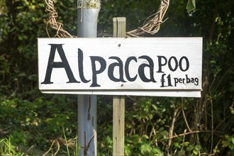 Bags of Alpaca poo on sale, Bawdsey, Suffolk, England, UK