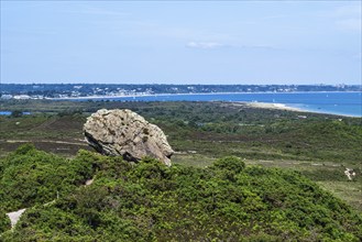 Agglestone Rock, Devil's Anvil, Studland, Dorset, England, United Kingdom, Europe