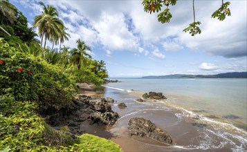 Tropical beach, South Pacific, Osa Peninsula, Punterenas Province, Costa Rica, Central America