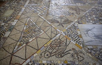 Basilica di Santi Maria e Donato with Byzantine mosaic pavement, Murano, Venice, Metropolitan City