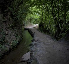 Hiking trail, Maiser Waalweg, stream, long exposure, Schenna, Scena, South Tyrol, Autonomous