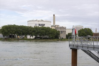 BASF, Lugwigshafen am Rhein, industrial area, jetty, Mannheim, Baden-Württemberg, Germany, Europe