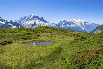 Mountain panorama with glaciated mountain peaks, Aiguille Verte with Aiguille du Midi and Mont