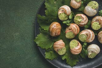 Grape snails, stuffed in burgundy, french cuisine