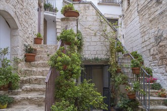 Small alley with many flowers, Cisternino, Valle d'Itria, Itria Valley, Apulia, Italy, Europe