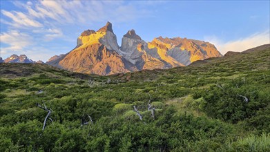 Los Cuernos, the horns, in the evening light, m Torres del Paine National Park, Andes, Chile, South