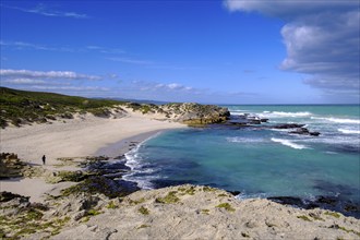 De Hoop Nature Reserve, nature reserve near Struisbaai, Garden Route, Western Cape, South Africa,