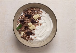 Yogurt with chocolate muesli, breakfast, close-up, fork on top, no people