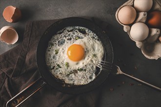 Fried egg in a cast-iron pan, rustic style, selective focus, horizontal, no people, top view