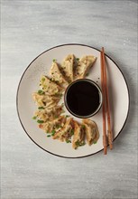 Japanese Gyoza dumplings, fried, with sauce, top view, without people, tinted, selective focus