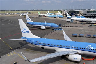 Amsterdam Schiphol Airport, aircraft at terminal, Gate D, check-in, apron, Amsterdam, Netherlands