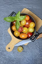 Various cherry tomatoes in pots, cherry tomato