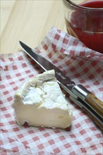 French Camembert, sliced cheese, France, Europe