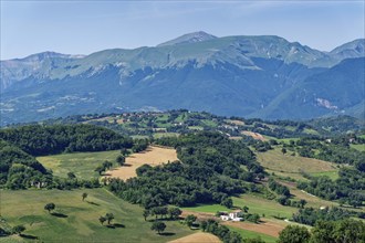 Landscape in the Marche region near San Ginesio and in the background the mountain range of the