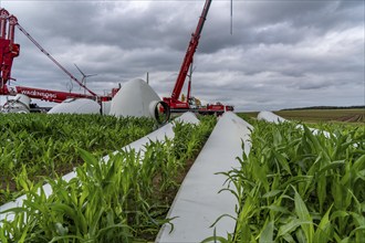 Repowering, dismantled Enercon E-58 wind turbine in a wind farm near Issum, 9 older wind turbines