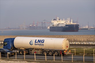 Container lorry, bringing containers to Euromax Container Terminal, the seaport of Rotterdam,