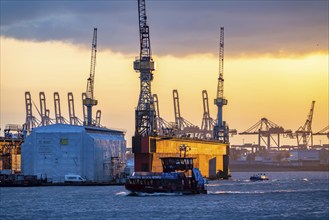 Port of Hamburg, view of the Blohm + Voss shipyard, Dock 11, evening, cranes of the container